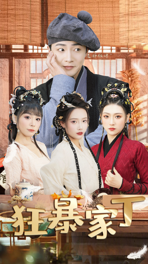 狂暴家丁$飞驰人生之超品家丁（90集）短剧在线观看