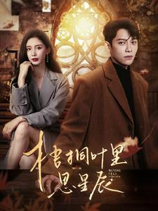 梧桐叶里思星辰(100集) 梧桐叶里思星辰(100集)最后的大结局