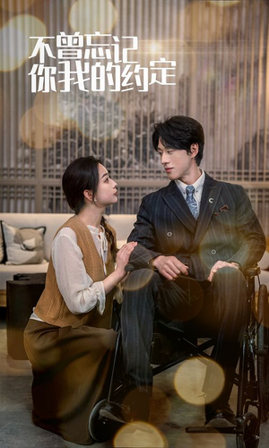 不曾忘记你我的约定（51集）百度网盘在线看