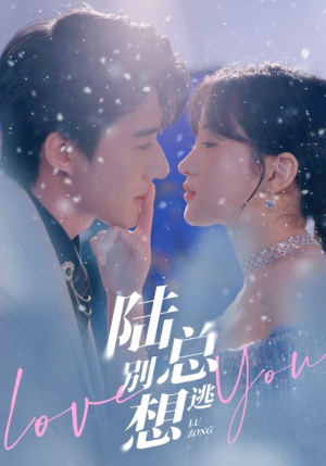 陆总别想逃（80集）更新时间一览表