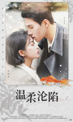 温柔沦陷(50集) 温柔沦陷(50集)看到了大结局
