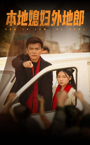 本地媳妇外地郎(35集) 本地媳妇外地郎(35集)排行榜前十短剧