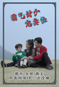 霸气封少宠妻忙（80集）精彩短剧下载