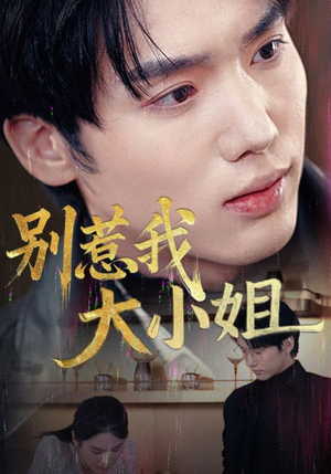 别惹我大小姐（40集）全部免费看全集