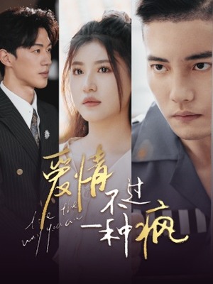爱情不过一种疯（96集）夸克网盘观看