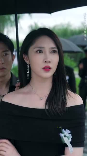 白夜追凶之龙兄虎弟（80集）短剧片段推荐