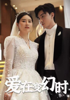 爱在变幻时（85集）剧情简介