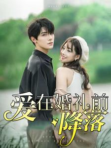 爱在婚礼前降落（50集）爆款热门短剧