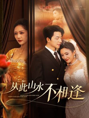 从此山水不相逢（60集）剧情简介