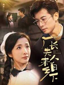 厂长夫人来自乡下（60集）演的怎么样