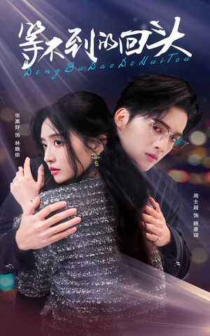 等不到的回头（35集）短剧全集免费看