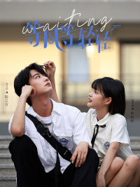 等风等轻轻（24集）口碑之选免费看