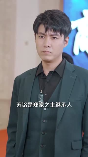 彩礼谈崩后继承万亿家产(100集) 彩礼谈崩后继承万亿家产(100集)解说