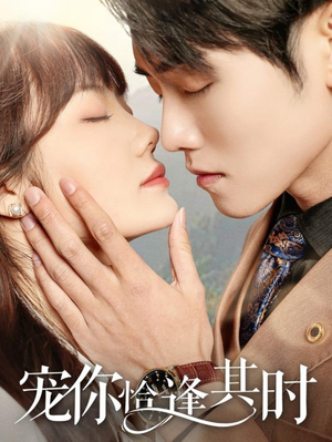 宠你恰逢其时（60集）演的怎么样