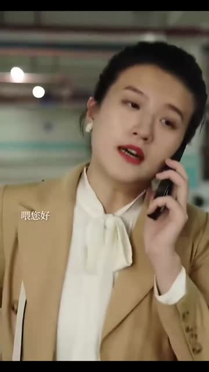 冲破婚姻的风暴（29集）在线播放