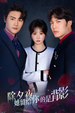 除夕夜她留给你的是背影（30集）最后一集