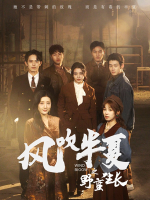 风吹半夏之野蛮生长（59集）大结局完美收官