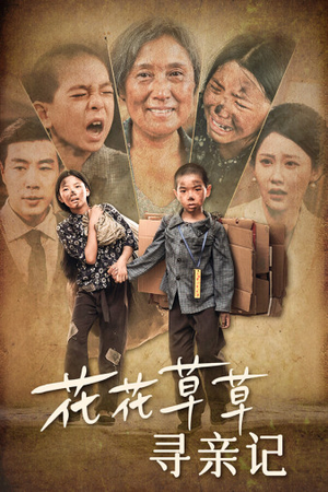 花花草草寻亲记（42集）完整版免费观看