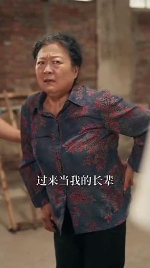 凤凰归巢（69集）80到100集