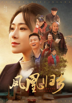 凤凰归乡(33集) 凤凰归乡(33集)全剧免费观看