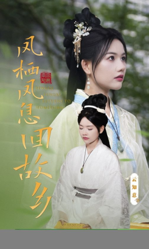 凤栖凤息回故乡(36集) 凤栖凤息回故乡(36集)短剧精彩推荐