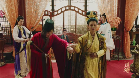 凤婿（28集）一个短剧看全集