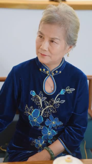 鉴宝龙婿（80集）番茄免费短剧