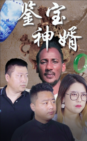 鉴宝神婿（87集）看过的人都说好