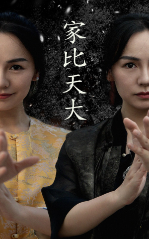 家比天大（63集）哪个网站可以看