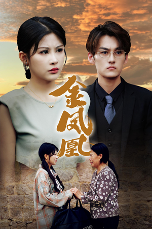 金凤凰（80集）精彩不断免费看