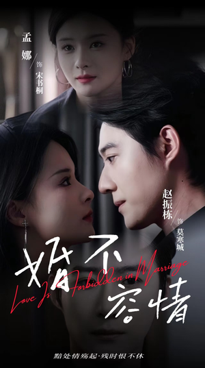 婚不容情(89集) 婚不容情(89集)番茄短剧看全集