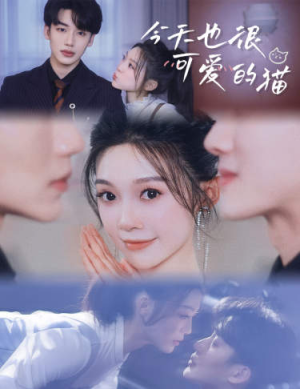 今天也很可爱的猫(72集) 今天也很可爱的猫(72集)爆火短剧追不停