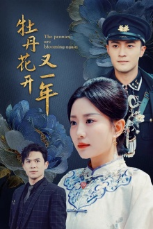 牡丹花开又一年（60集）在线播放