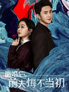 离婚后前夫悔不当初（40集）百度在线观看