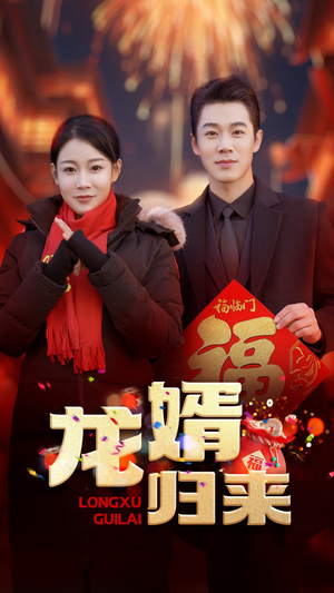 龙婿归来（27集）热播短剧分享