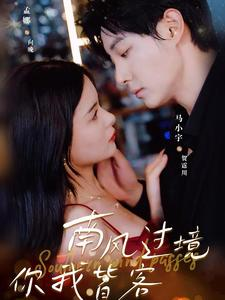 南风国境你我皆客(80集) 南风国境你我皆客(80集)免费热门短剧