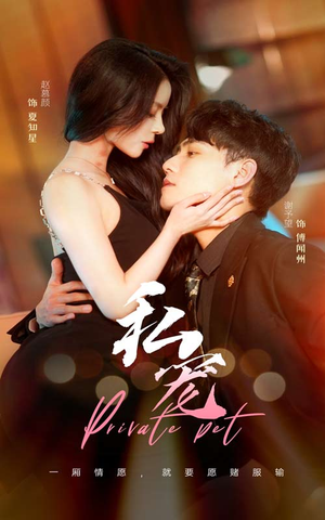 私宠(94集) 私宠(94集)热门短剧推荐。