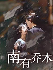南有乔木（60集）火爆短剧推荐