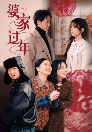 婆家过年(71集) 婆家过年(71集)在线观看完整版