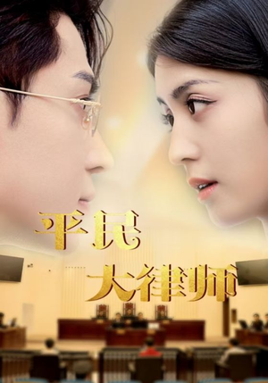 平民大律师（95集）精彩的短剧