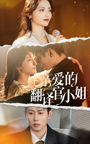 亲爱的翻译官小姐(51集) 亲爱的翻译官小姐(51集)解说文案