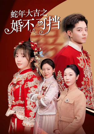 蛇年大吉之婚不可挡(50集) 蛇年大吉之婚不可挡(50集)第一季
