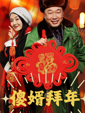 傻婿拜年（32集）精彩短剧热播