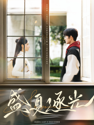 盛夏逐光（87集）口碑之选免费看