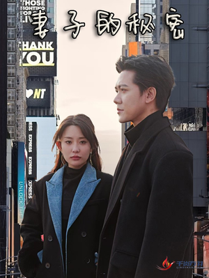 妻子的秘密（50集）短剧太好看