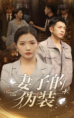 妻子的伪装（30集）在线播放