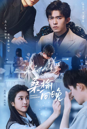 桑榆向晚（65集）短剧太好看