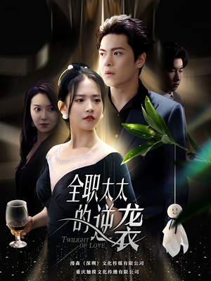 全职太太的逆袭（80集）短剧抢先看