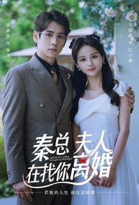 秦总，夫人在找你离婚（79集）短剧每日分享