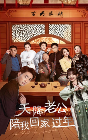 天降老公陪我回家过年（60集）在线看到大结局